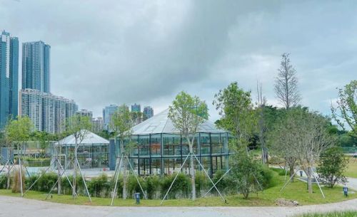 國內(nèi)首座 亭臺 淺灘 步道 羅湖這一新晉打卡點竟還有隱藏功能