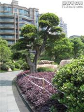 廣東華美霖園林實業