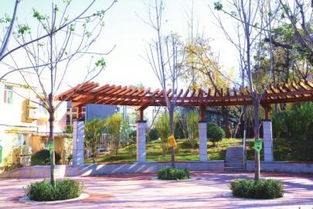 優(yōu)中選優(yōu)市中拆違建綠 十大精品 出爐 真金白銀最美 口袋公園 獎(jiǎng)勵(lì)30萬元