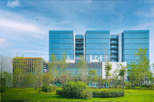 龍湖商業(yè)牽手馬廠壩tod,青羊新城新增15萬方商業(yè)綜合體