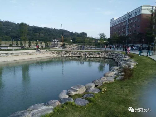 為了鄉(xiāng)村振興,這些企業(yè)使出渾身解數(shù)