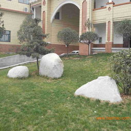 供應(yīng)園林藝術(shù)景觀施工 小型景觀石,供應(yīng)園林藝術(shù)景觀施工 小型景觀石生產(chǎn)廠家,供應(yīng)園林藝術(shù)景觀施工 小型景觀石價格