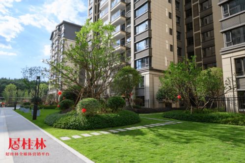 特殊時(shí)期,桂林這家房開的表現(xiàn)沒讓人失望