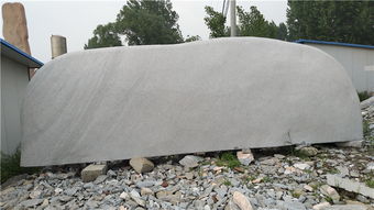 園林實業(yè) 實惠景觀石的理想采購地